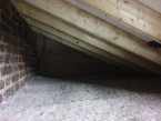 Roof picture